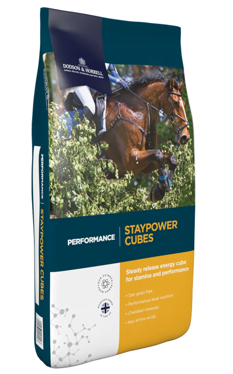 Dodson and Horrell Staypower Cubes 20kg