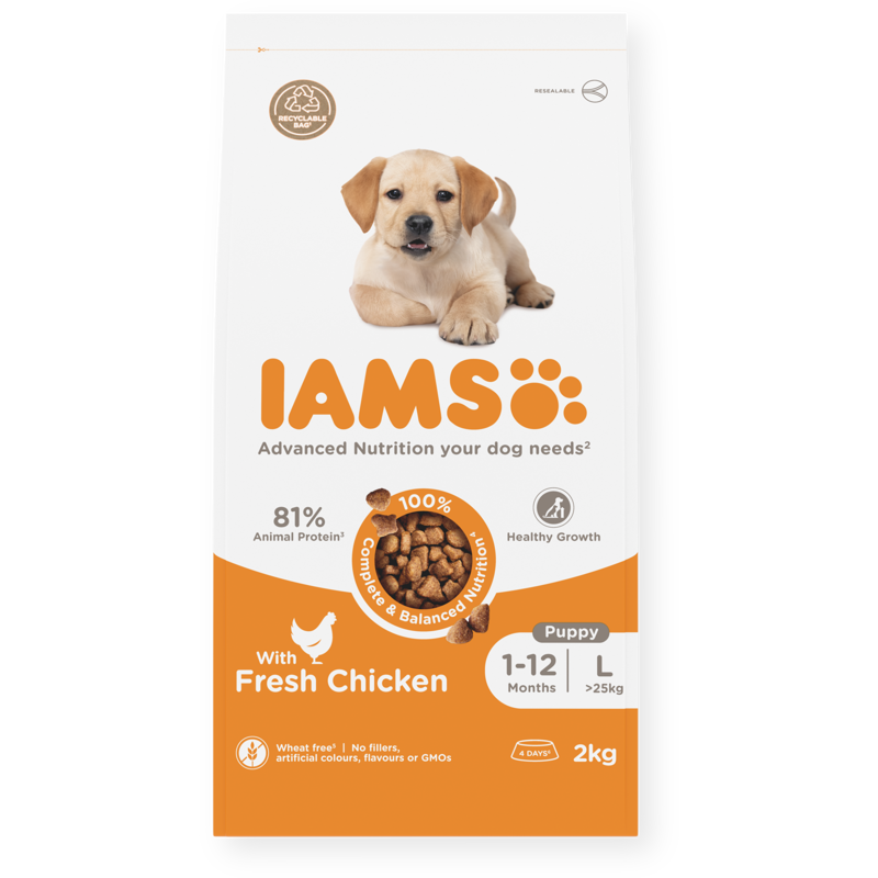 Iams Puppy Large Chicken