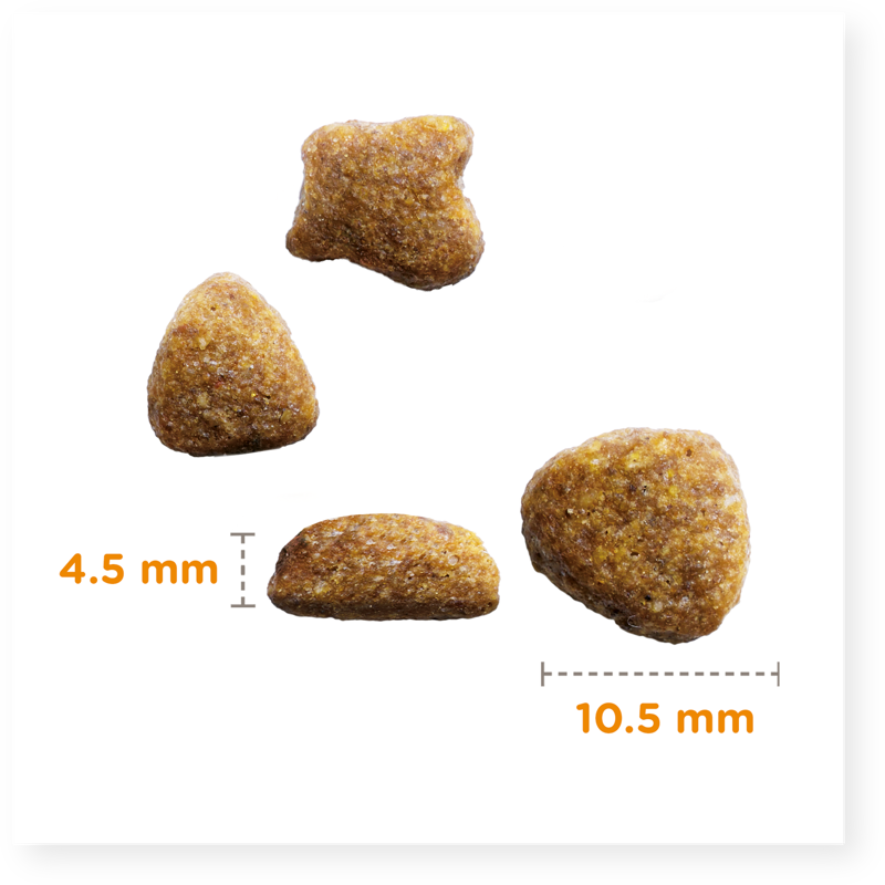Iams Vitality Adult Cat Chicken 2kg-3