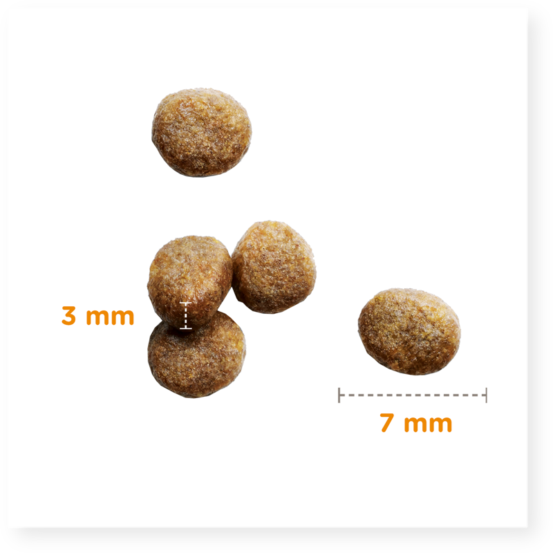 Iams Vitality Kitten Chicken 2kg-3