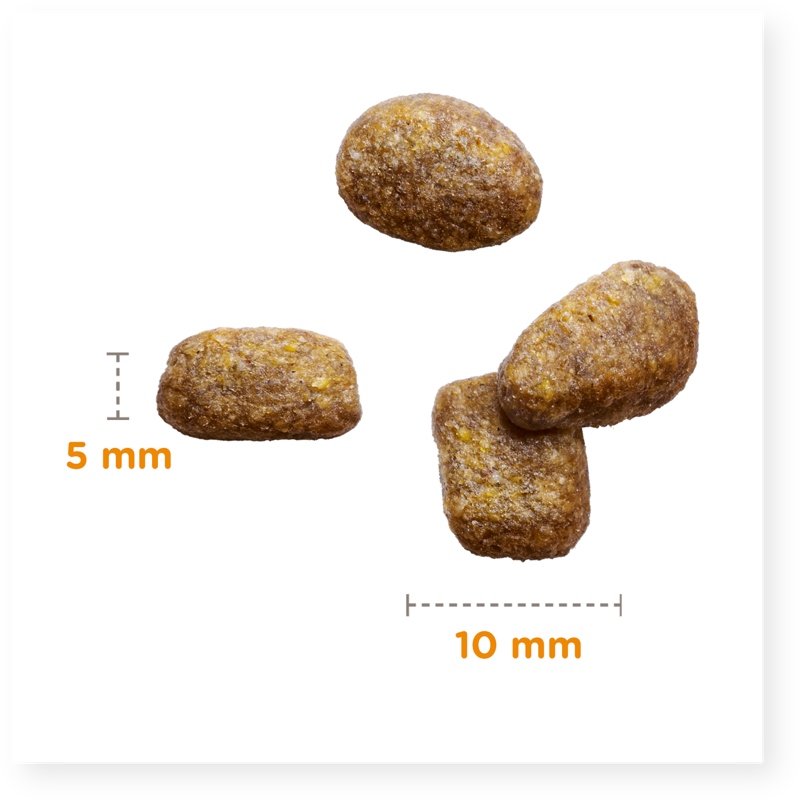 Iams Puppy Small/Medium Chicken-2
