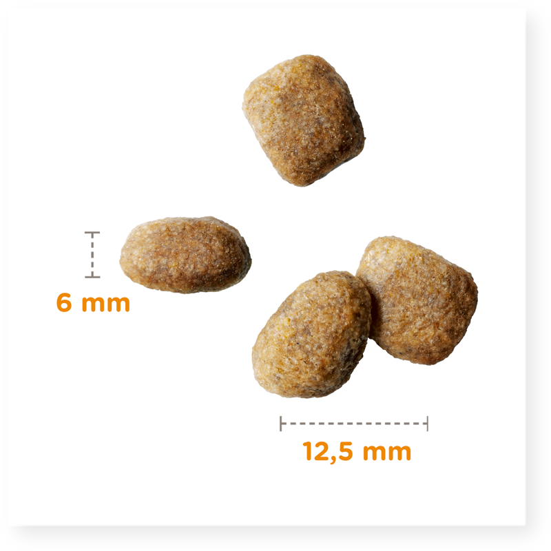 Iams Adult Dog Small/Medium Chicken-2