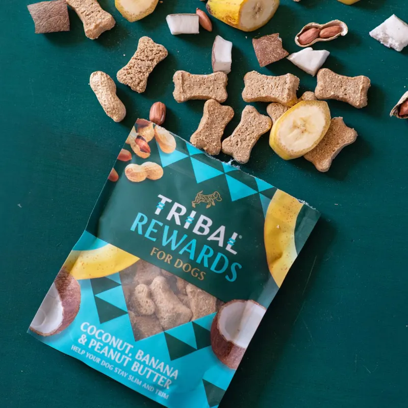 Tribal Rewards Coconut with Banana and Peanut Butter Dog Biscuits 125g