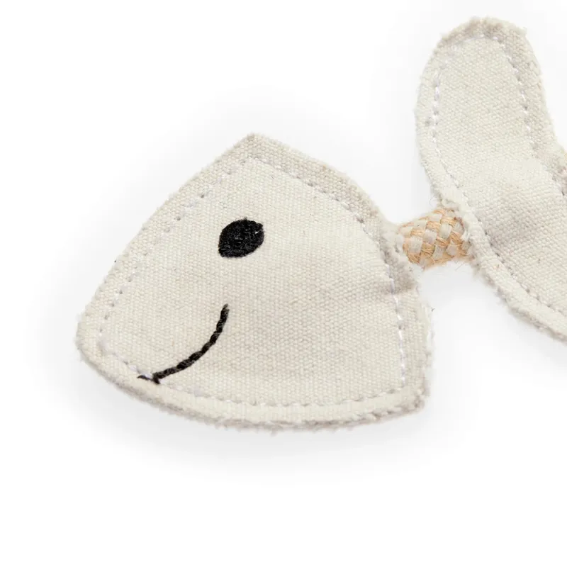 Green and Wilds Thin Lizzie the Bonefish Eco Dog Toy-1