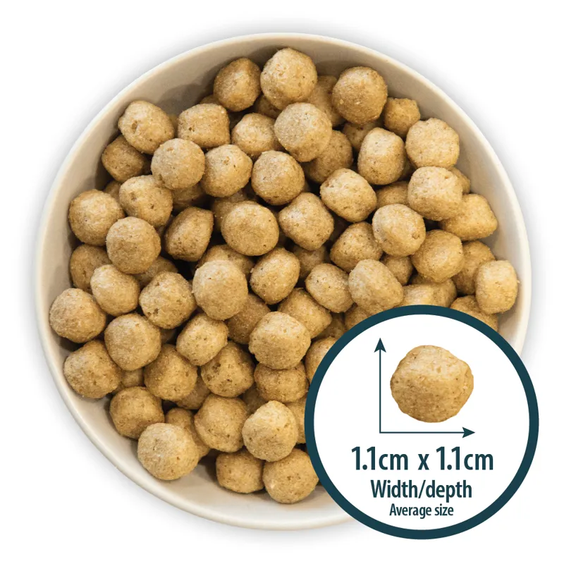 Burns Hyopallergenic Mixer 2kg-1