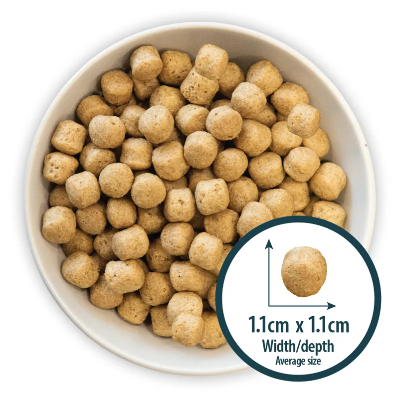 Burns Weight Control-1