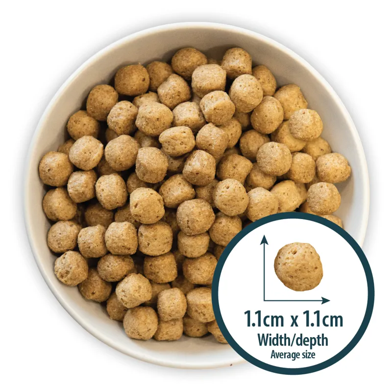 Burns Sensitive Duck and Brown Rice-1