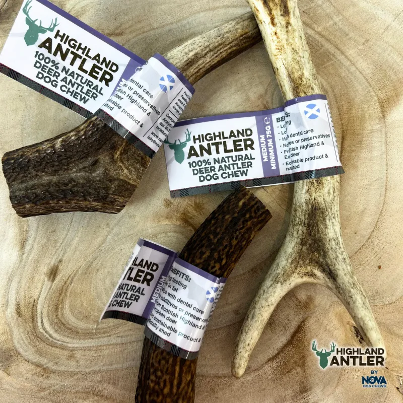 Highland Deer Antler Medium