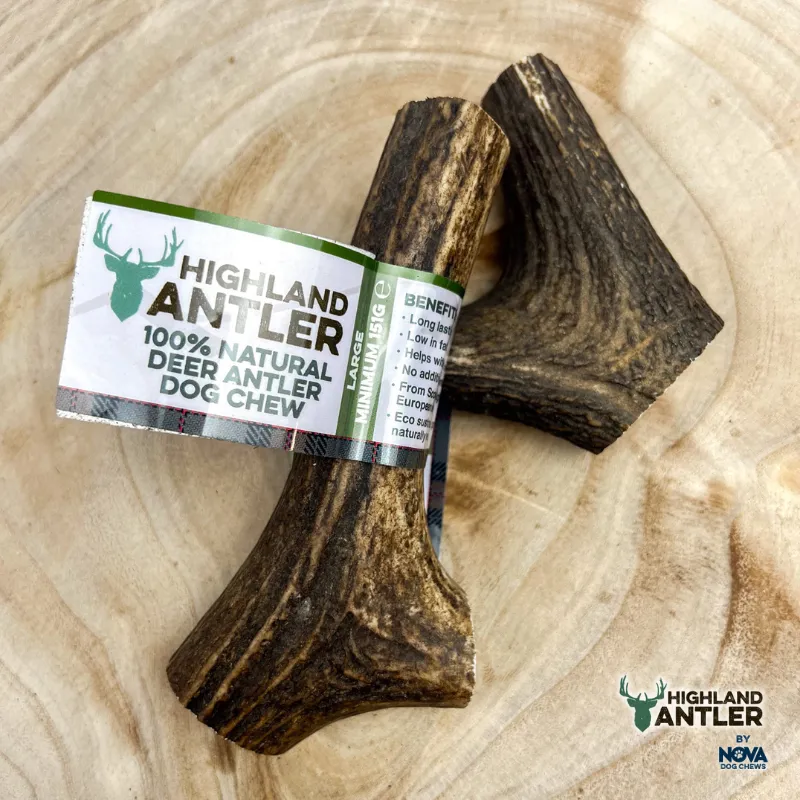 Highland Deer Antler Large