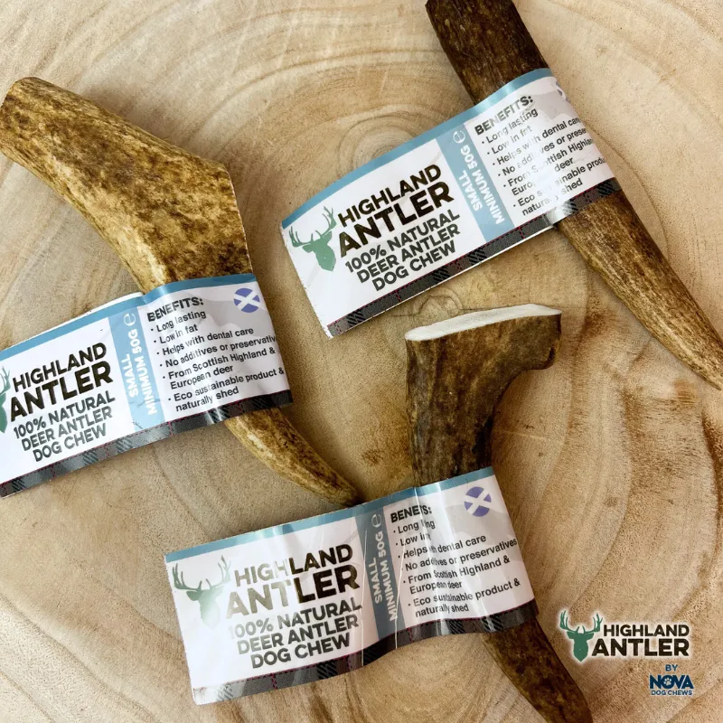 Highland Deer Antler Small