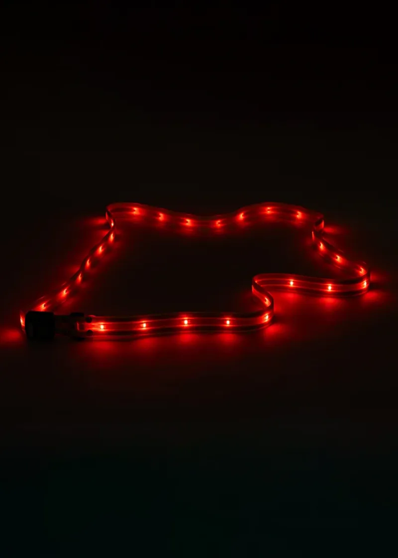 Woof Wear Hi-Vis Yellow LED Sash-1