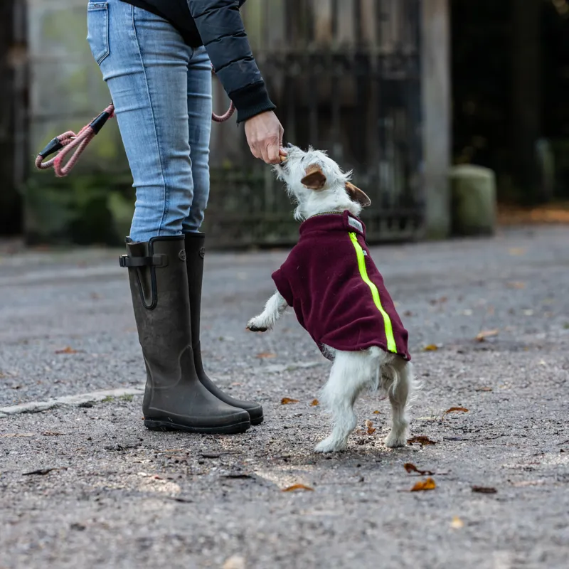 Stix Small Terrier Dog Coat-1