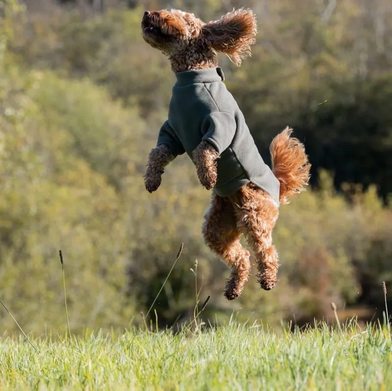 Stix Cockapoo Dog Coat