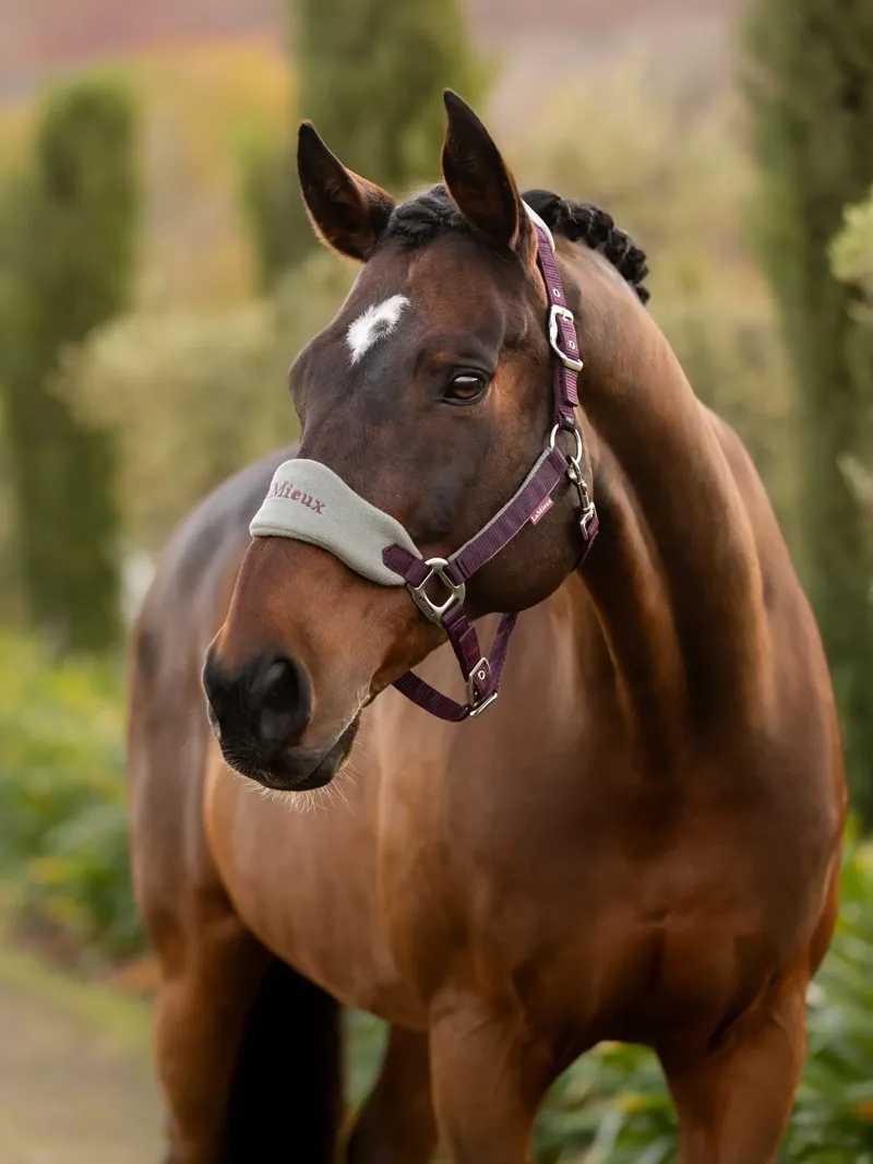 LeMieux Vogue Headcollar and Leadrope Damson-1