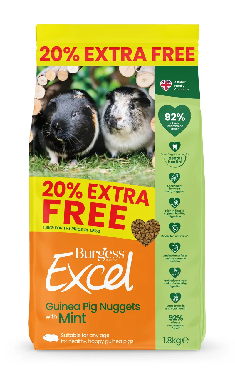 Burgess Excel Guinea Pig Nuggets with Mint-1