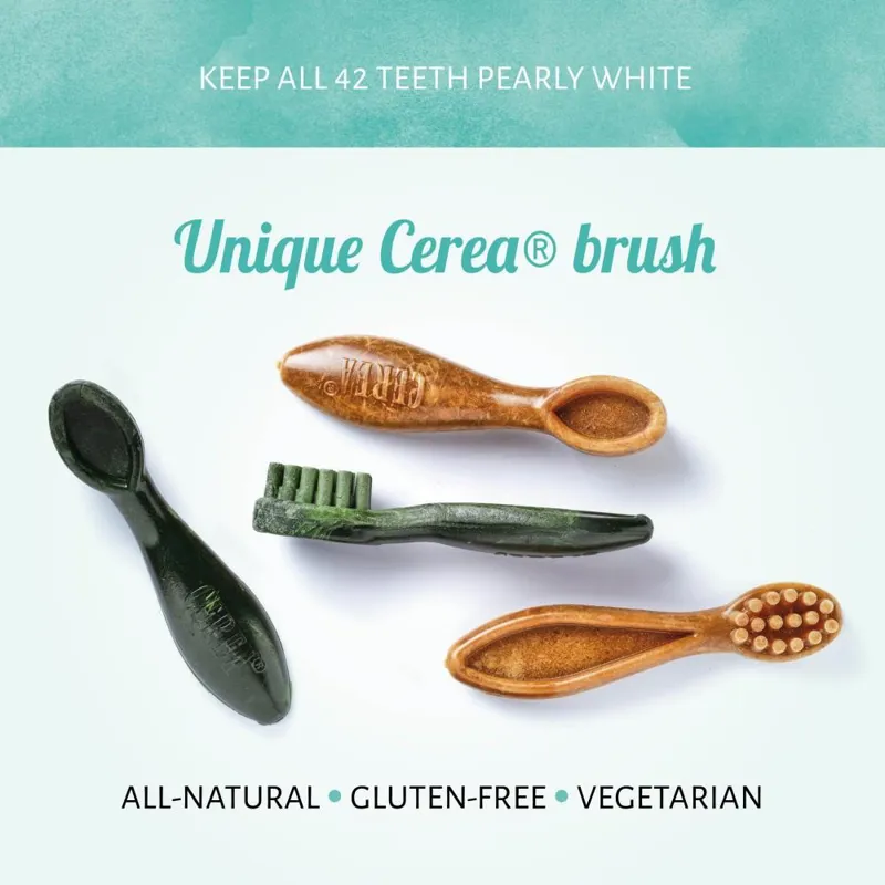 Cerea Toothbrush XL 19cm