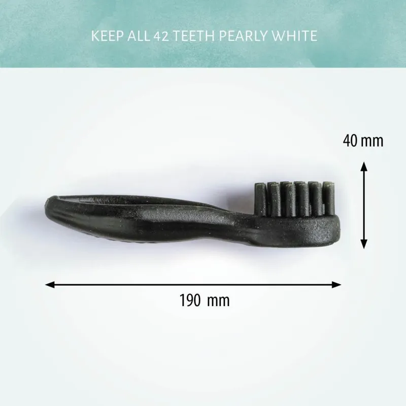 Cerea Toothbrush XL 19cm-1