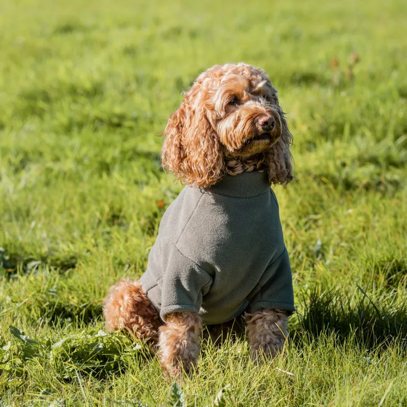 Stix Cockapoo Dog Coat-1