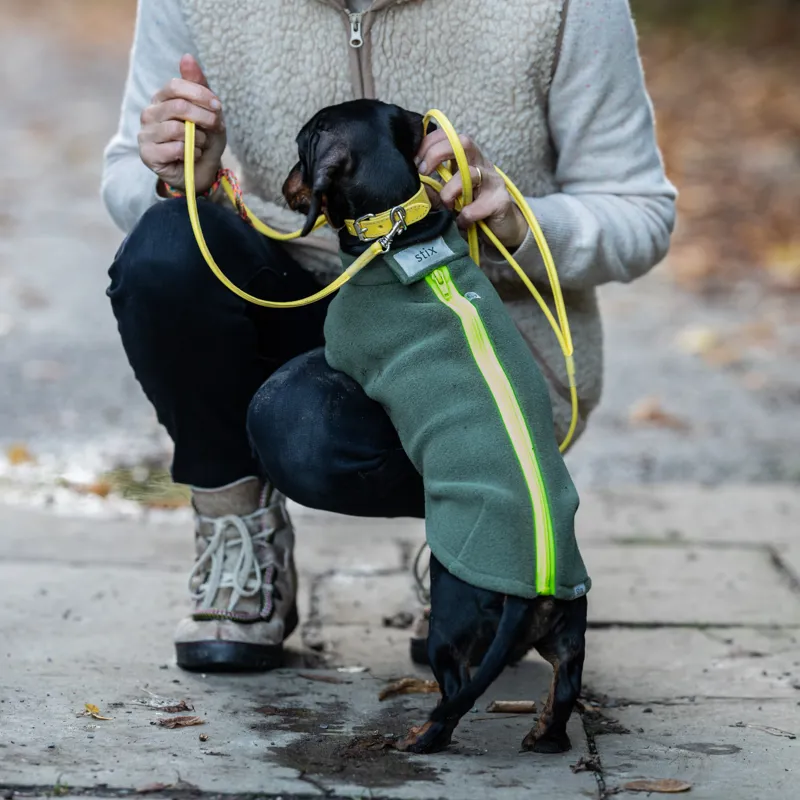 Stix Dachshund Dog Coat-1