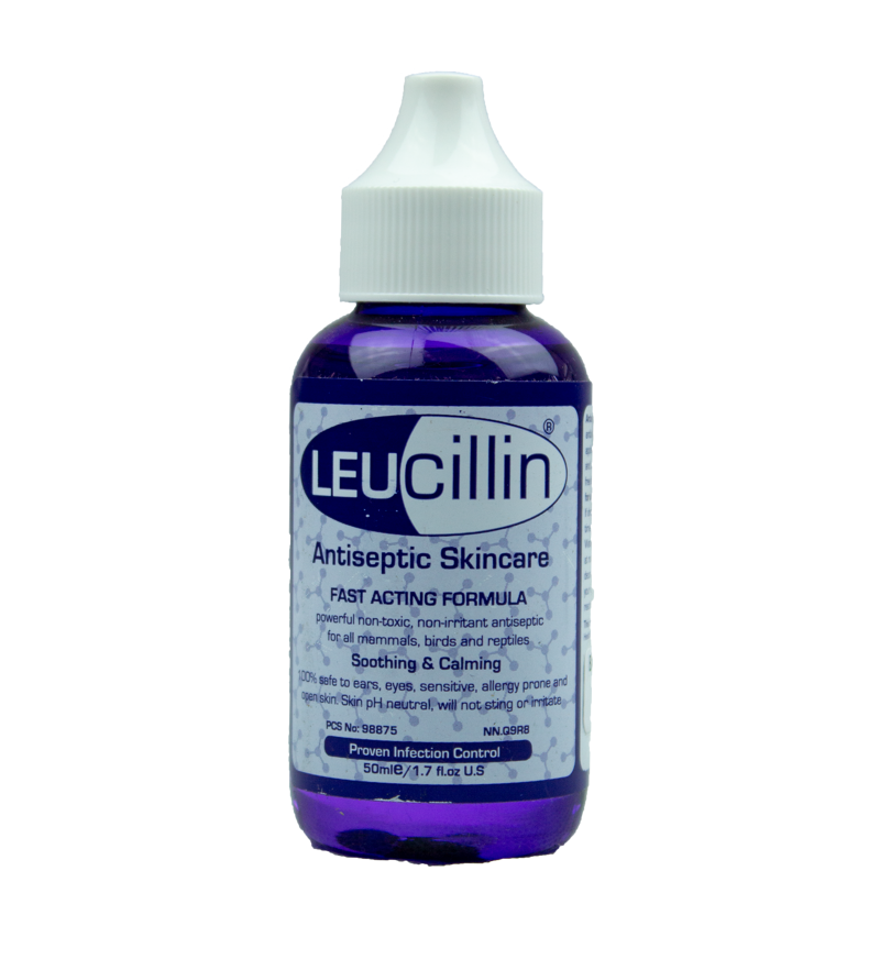 Leucillin Antiseptic Dropper 50ml