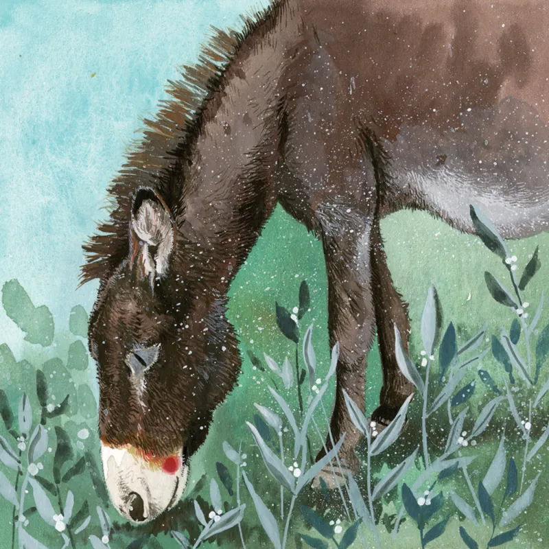 Alex Clark Donkey Meadow Blank Card