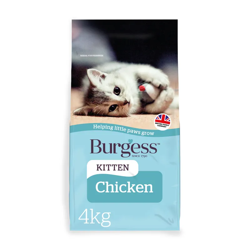 Burgess Kitten Chicken-1