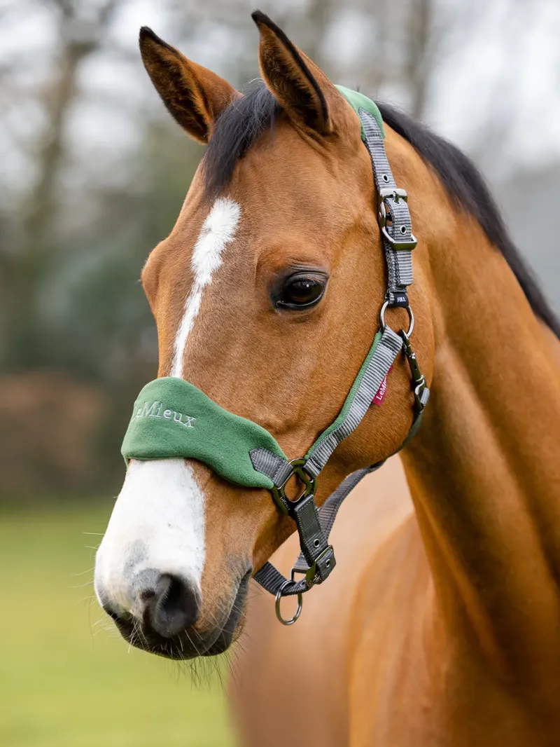 LeMieux Vogue Headcollar and Leadrope-1