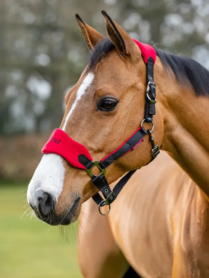 LeMieux Vogue Headcollar and Leadrope Chilli-1