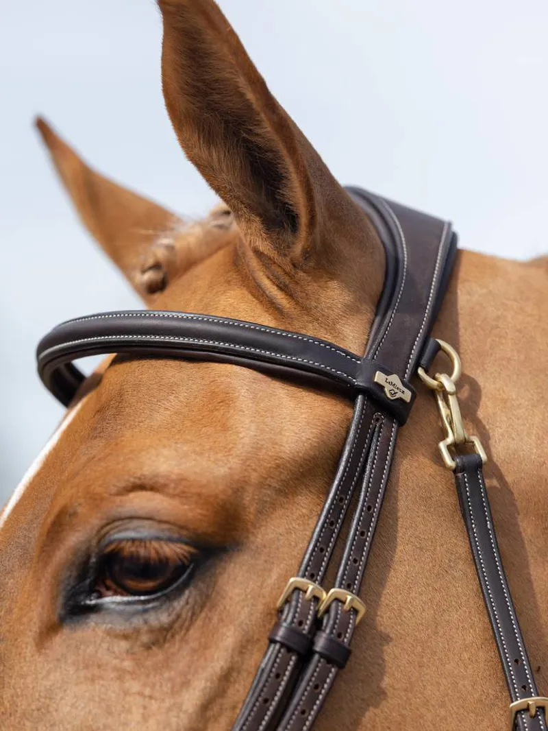 LeMieux Kudos Work Bridle in Brown-3