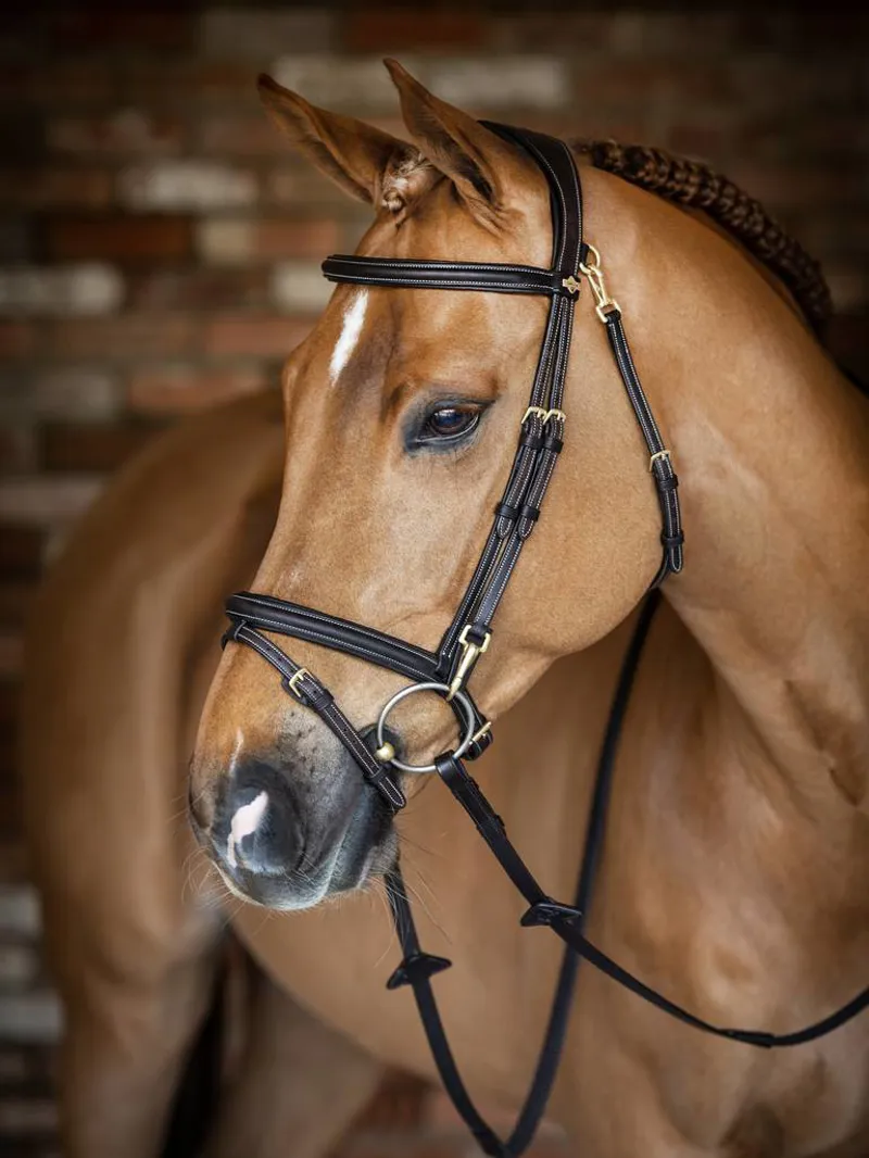 LeMieux Kudos Work Bridle in Brown