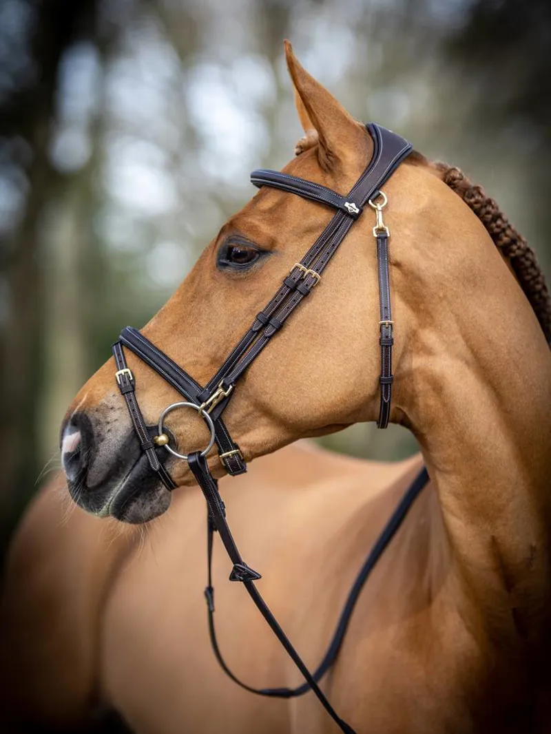 LeMieux Kudos Work Bridle in Brown-4