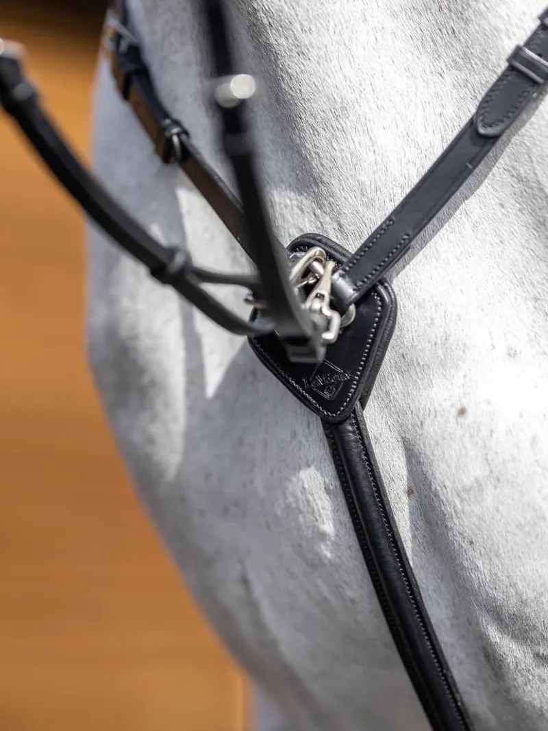 LeMieux Breastplate with D-Ring Attachment in Black/Silver-1