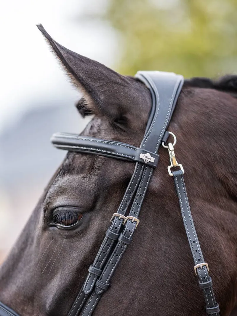 LeMieux Kudos Work Bridle in Black-3