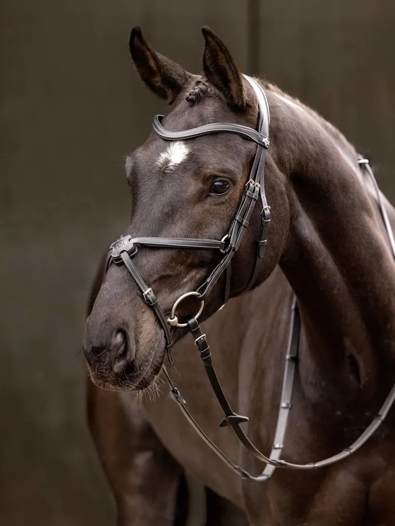 LeMieux Arika Grackle Bridle In Black/Silver