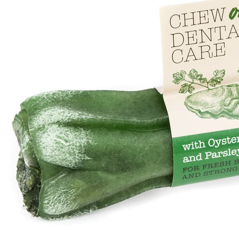 Chew On Dental Care Bone-1