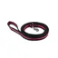 Great and Small Classic Soft Nylon Lead Pink