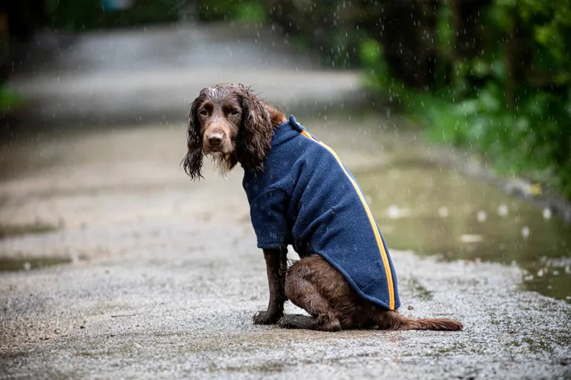 Stix Spaniel Dog Coat-1