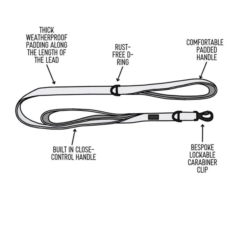 Twiggy Tags Adventure Lead with Close Control Handle 1.5m in Aurora -1