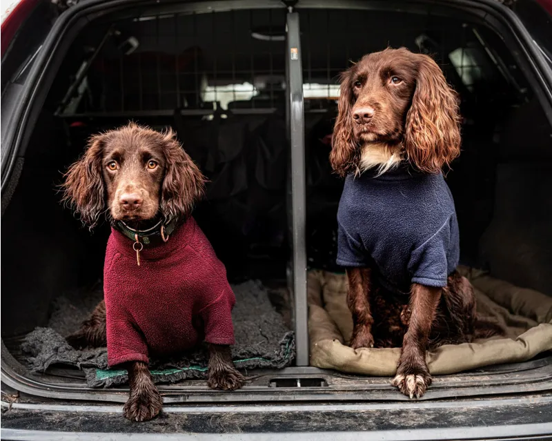 Stix Spaniel Dog Coat