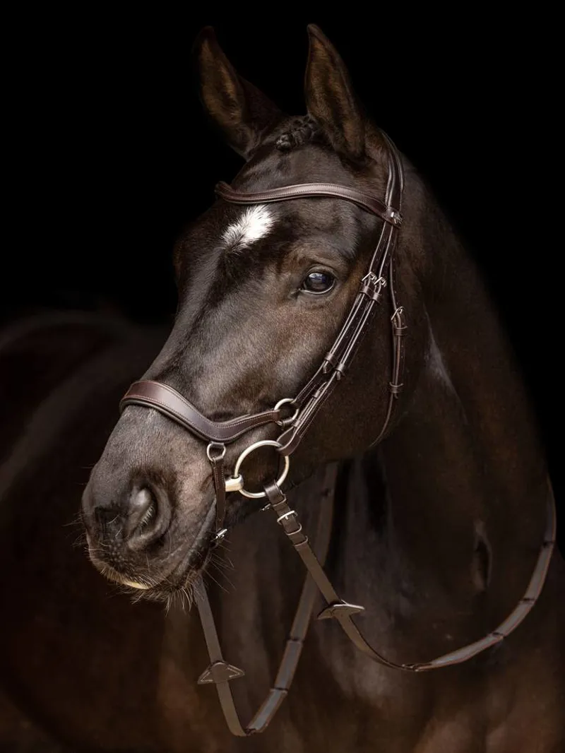 LeMieux Arika Drop Bridle in Brown/Silver-4