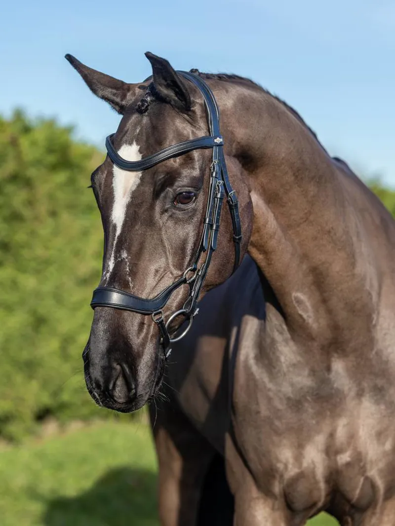 LeMieux Arika Drop Bridle in Black/Silver