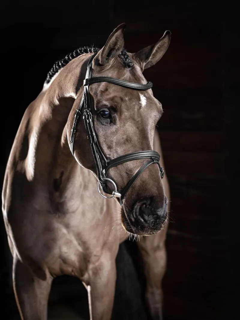 LeMieux Arika Flash Bridle in Black/Silver