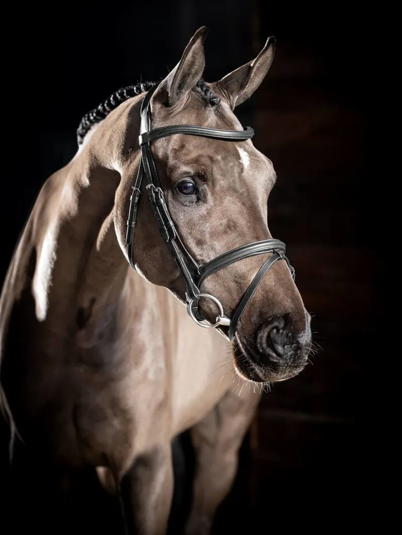 LeMieux Arika Flash Bridle in Black/Silver-4