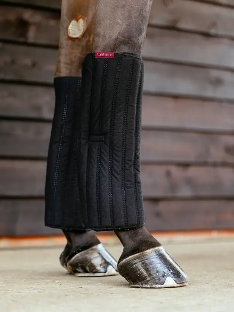 LeMieux Memory Foam Bandage Pads Black-1