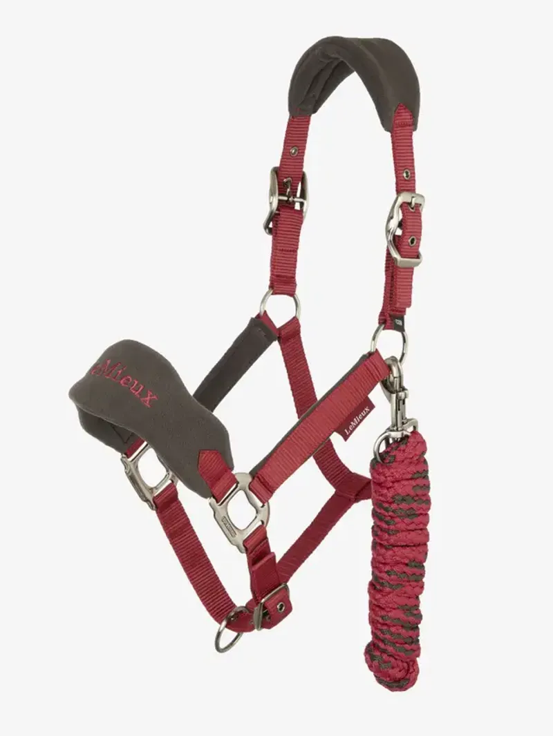 LeMieux Vogue Headcollar and Leadrope Ember