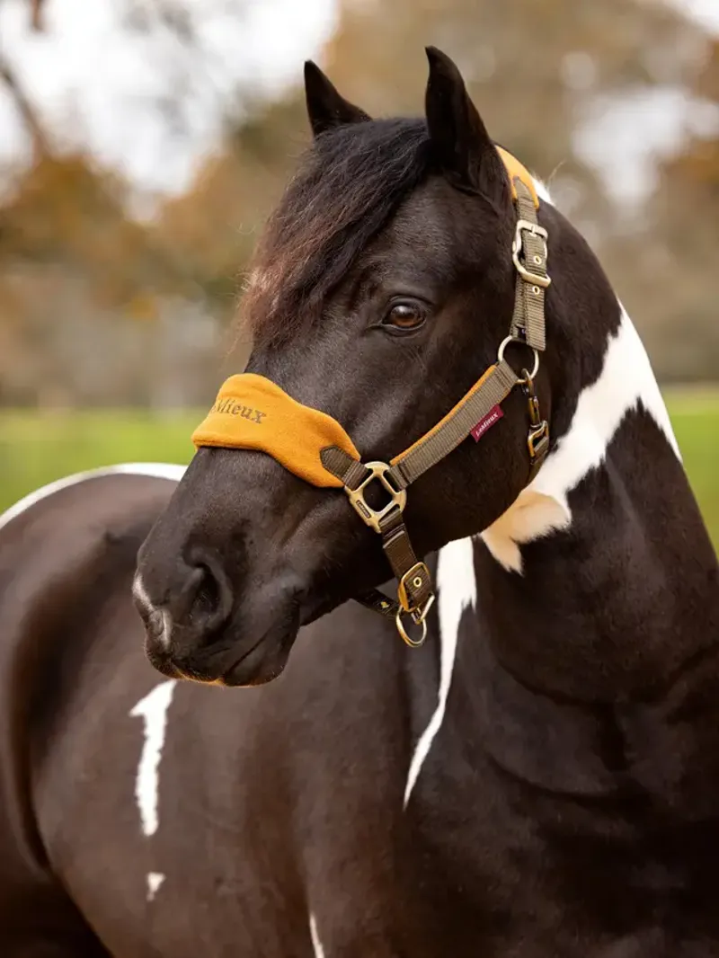 LeMieux Vogue Headcollar and Leadrope Alpine-1