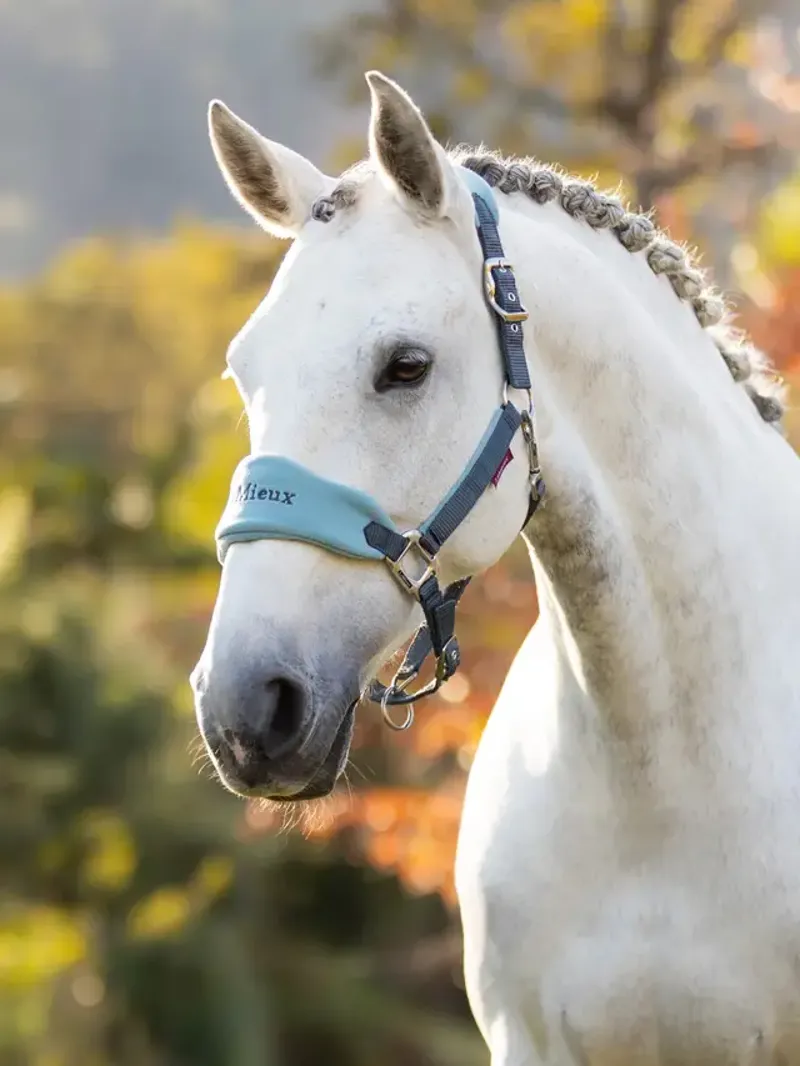 LeMieux Vogue Headcollar and Leadrope Petrol-1