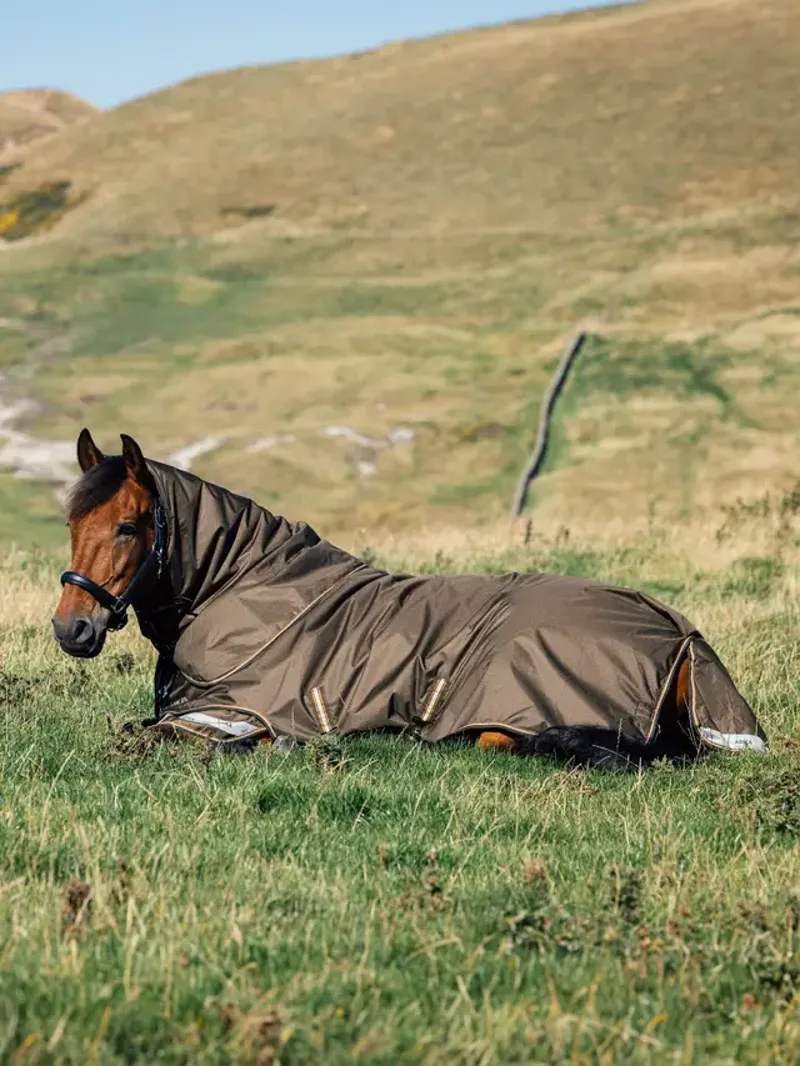 LeMieux Arika Ripstop 100g Turnout Rug Alpine-1
