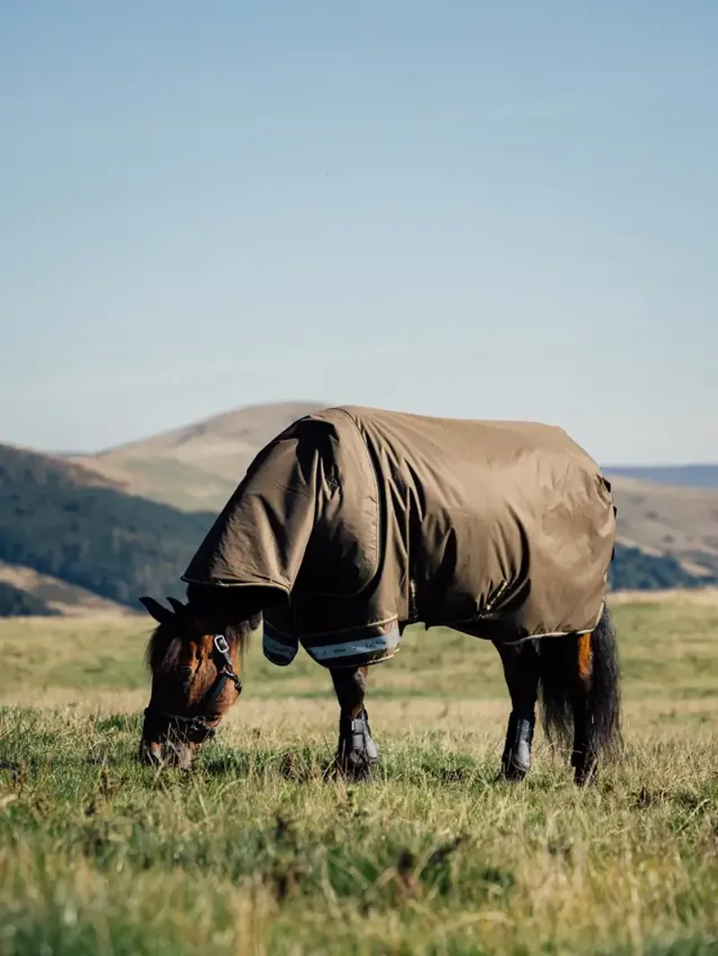 LeMieux Arika Ripstop 50g Turnout Rug Alpine-1