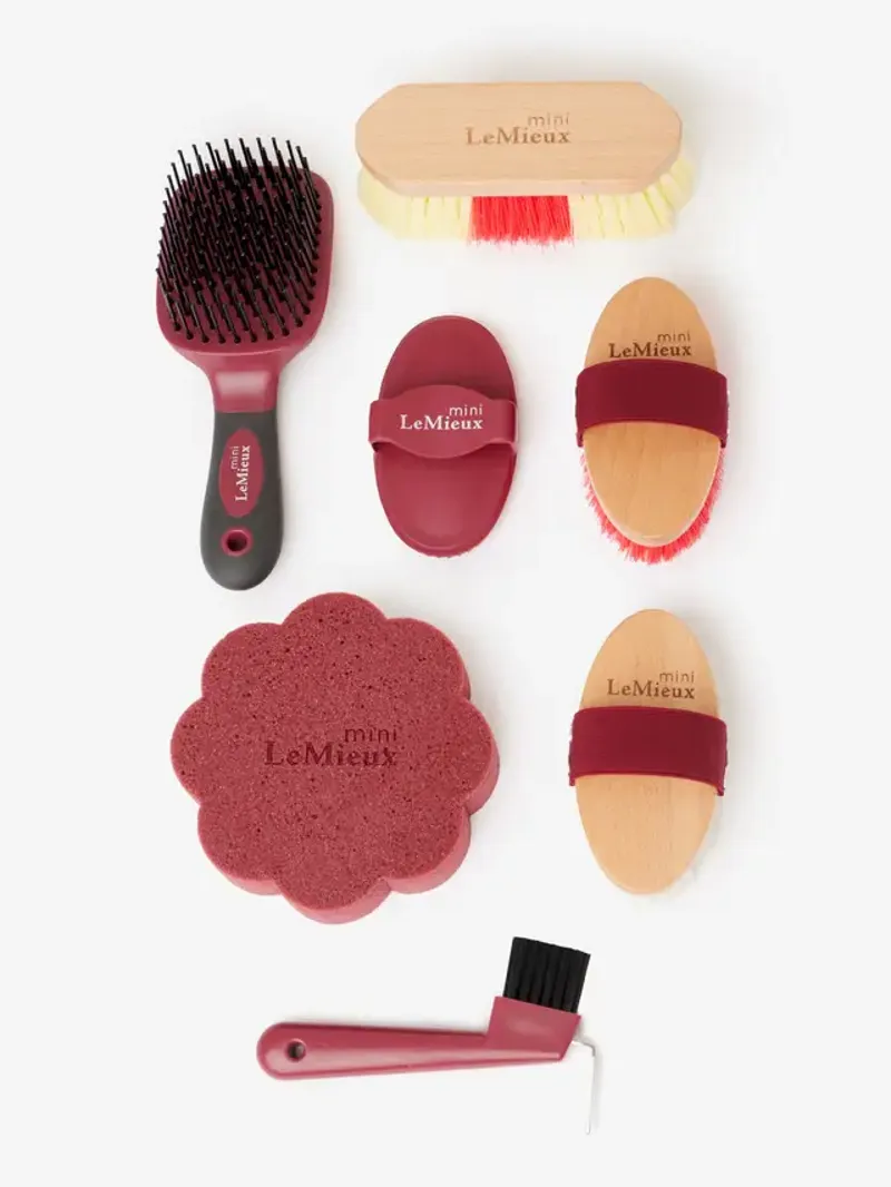 LeMieux Mini Grooming Set Red-1